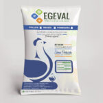 Codorniz Postura con 20% de proteina